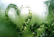 九游-东契奇重要时刻出色发挥，公牛带队取胜！比赛高潮迭起的简单介绍